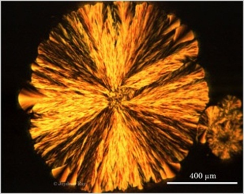 Feather shaped spherulites observed in the chocolate